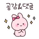 둥이당 이미지