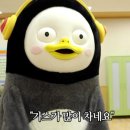 스테이 선선 이미지