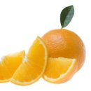 오렌지 이미지