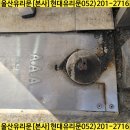 신정현대약국 이미지