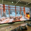 폴레폴레 | 대전 용전동 미디어아트 대형카페 폴레폴레 내돈내산 후기