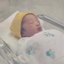 성모반점 | 서울성모병원 박인양교수님 제왕절개 경산모 출산 4박5일 후기 🏥