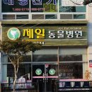 신일환동물병원