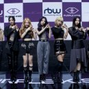 퍼플크라운 이미지