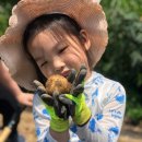 호범농장 이미지