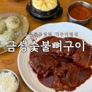 충무공동4 | 진주 충무공동 맛집 금성숯불뼈구이 | 불맛 제대로, 점심특선 뼈구이 후기