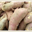 종선농장 이미지