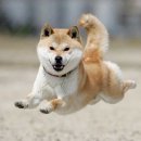 타임(Time) 이미지