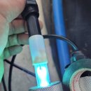 장균농장 이미지