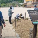 양주도담학교 이미지