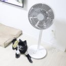 모아맨S | 여름 필수템! 국내산 공기정화 서큘레이터 ‘서큐팬 S 퓨리’ 솔직 후기