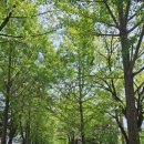 선린자모의원 이미지