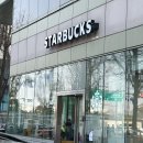 스타벅스 오늘의 샌드위치 햄 루꼴라 페스토 샌드위치, 슈크림 딸기라떼 먹어본 후기