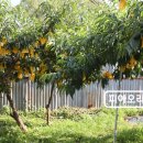 종광농장 이미지