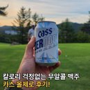 칼로리 걱정 없는 무알콜 맥주 맛 음료, 카스 올제로 후기