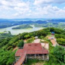 보강천 미루나무숲 이미지