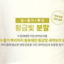 네이쳐팜스 이미지
