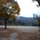 신흥수영장 이미지