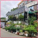 성공식당 이미지