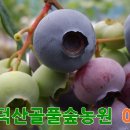 카페폴라리스 - 여수시 | 카페폴라리스