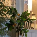 오오우키친 | 행궁동 오오우키친 살짝 아쉬웠던 밥집(솔직후기)