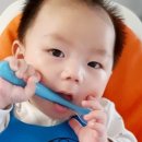 모담미담
