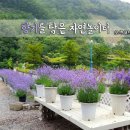 여왕의 놀이터