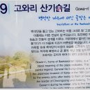 고와1교 이미지