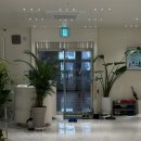 관저동로90번길 | 관저동요가 대전요가 새벽 6:20부터, 임산부요가까지 되는 쉼표요가관저점 다녀온 솔직후기