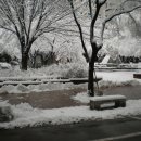 해태동물병원 이미지