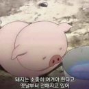 미스터블루(주) 이미지