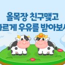 올목장 우유 친구 구함 이미지