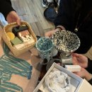 타피올라 이미지