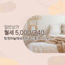 새희망공인중개사 사무소 이미지