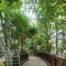 한밭대로 이미지