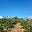 제주그랜드공인중개사사무소 이미지