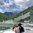 양산 내원사계곡 대형카페 아미드포레 내돈내산 솔직후기