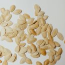 호박단지 이미지