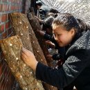 화순도암중 이미지