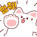 남창애견샵 복실강아지 이미지