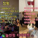 재미있는점핑다이어트 이미지