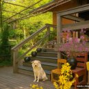 팔영산장가든 이미지