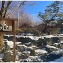 버치우드 이미지