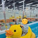 문화소통로 | 광주 신상 키즈카페 - 용봉동 키즈베이