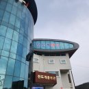 진도개테마파크 | 진도 여행 필수 코스 : 진도개 테마파크 방문 후기