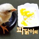 마실먹빵 이미지
