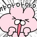 닭한마리호정 이미지