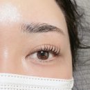 모숲 이미지