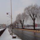 양수리 두물머리길 이미지