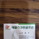 애플 스크린 골프 이미지